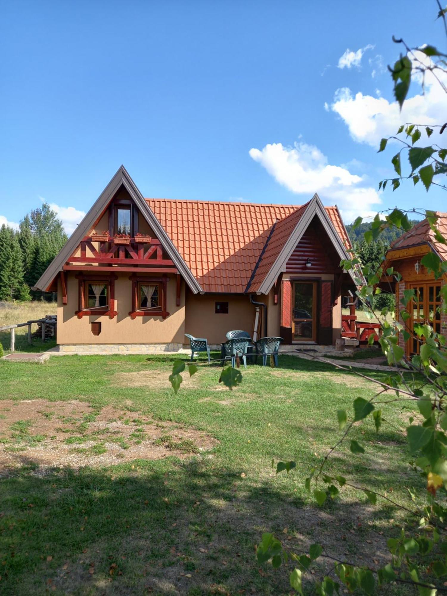 Mountain House Tadic 2 Villa Bajina Basta Bagian luar foto